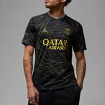 Jordan Футболка Paris Saint-Germain 2023/24 Stadium Force Nike, черный - фото 3