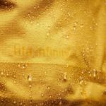 Куртка Verglas Infinity Shell Jacket 20 - мужская Helly Hansen Helly Hansen, Golden Glow - фото 8