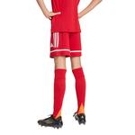 Детские шорты adidas Squadra 25 - фото 3