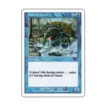 CCG Рогатая черепаха (С), MTG - 7th Edition - фото