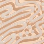 Бальзам для губ Regenerierender Balsam Lip Wrap Ilia - фото 6