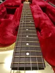 Ibanez JS2GD Джо Сатриани Signature Gold Boy - фото 10