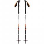 Палки Expedition 2 Black Diamond, no color - фото