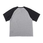 Футболка мужская Dickies, средний перламутрово-серый - фото 3