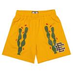 Шорты Eric Emanuel EE Basic Shorts, Cactus Gold/Brown - фото