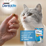 Dentalife снэк с лососем для ухода за зубами у кошек 40 гр Dentalife - фото 7