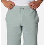 Шорты Columbia Logo Fleece, зеленый - фото 4