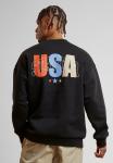 Толстовка STARTER USA CREW NECK, черный - фото