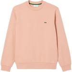 Хлопковый свитшот LACOSTE, хаки - фото 5