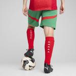 Шорты мужские Марокко 2025 PUMA - фото 5
