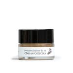 Фруктовый бальзам для губ черная смородина, 5 мл Biosoma Raw - фото