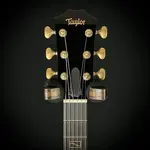 Taylor Custom CT5Z Custom #27 B5027 - фото 5