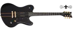 Schecter ДЭН ДОНЕГАН УЛЬТРА - фото