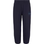 ARMANI EXCHANGE Брюки Casual SS24 мужские Midnight Blue - фото