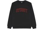 Мужская толстовка Stussy, цвет Black - фото