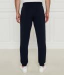 Спортивные брюки мужские Ea7 классические на кулиске, синий - фото 4