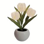 Атмосферные огни The Star God Project, белый - фото