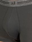Боксеры zd ZERO DEFECTS Athens Trunk, темно-серый - фото 3