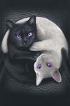 Топ Spiral Yin Yang Cats, черный - фото 3