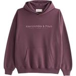 Свитшот мужской Abercrombie＆Fitch, Burgundy - фото
