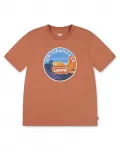 Футболка Desert Trail для мальчика Levi's, оранжевый - фото