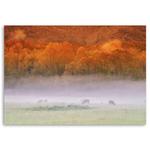 Фреска Feeby Hirsche Tiere Landschaft Natur, оранжевый - фото 3