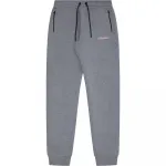 Джоггеры Ellesse Latoso, серый - фото