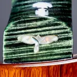 PRS Private Stock Custom 24/08 Полуголый Sage Glow - фото 18