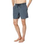 Шорты для плавания Volcom Center 17´´, серый - фото