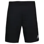 Шорты Le Coq Sportif 2421710 Presentation N°1, черный - фото