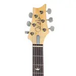 PRS Silver Sky Rosewood - Вольфрам - фото 7