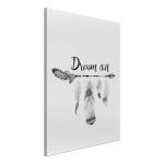 Фреска Artgeist Dream On, черно-белый - фото