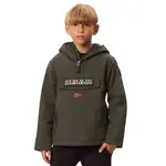 Худи Napapijri Rainforest Pocket 2, зеленый - фото