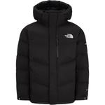 THE NORTH FACE Пуховик мужской черный, Black - фото