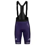 Шорты Wilier Vittoria shorts, фиолетовый - фото