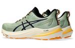 Кроссовки Asics GT-2000 12 Мужчины, Бежевый/Зеленый - фото 3