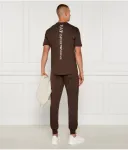 Футболка Regular fit Ea7, коричневый - фото 2