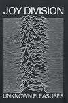 Футболка Unknown pleasures от Joy Division - фото 3