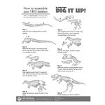 MindWare: раскопай! 3D модель скелета: Тираннозавр Рекс - фото 5