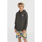 Худи O´neill Og Sun, серый - фото