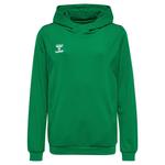 Худи Hummel Authentic PL, зеленый - фото