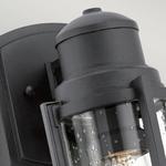 Настенный светильник Licht-Erlebnisse LERA, черный - фото 2