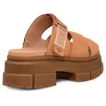 Шлепанцы (WMNS) UGG Ashton Slide 'Toast' - фото 2