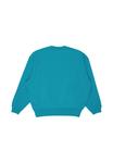 Толстовка Billabong Sweatshirt, Alt/Blue - фото 6