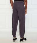 Брюки Regular fit Ea7, черный - фото 3