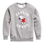 Флисовый свитшот Peanuts Feelin Loved для мальчиков 8–20 лет Licensed Character - фото