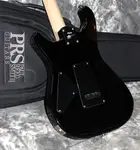 2024 PRS - Фиоре - Черный Ирис - фото 5