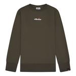 Толстовка ELLESSE Kiamto 2, оливковый - фото