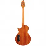 ESP LTD TL-6FM - Аква Мэриан Берст - фото 4