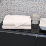 Linum Home Textiles 2 шт. Простыни для ванной Denzi - фото